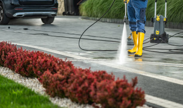 Best Sidewalk and Walkway Cleaning  in Marion, AL